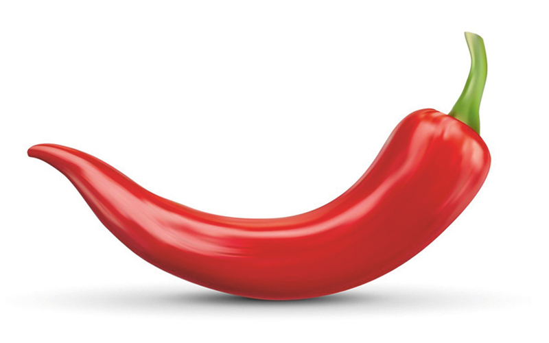realistic Red hot natural chili pepper, isolated image with shad